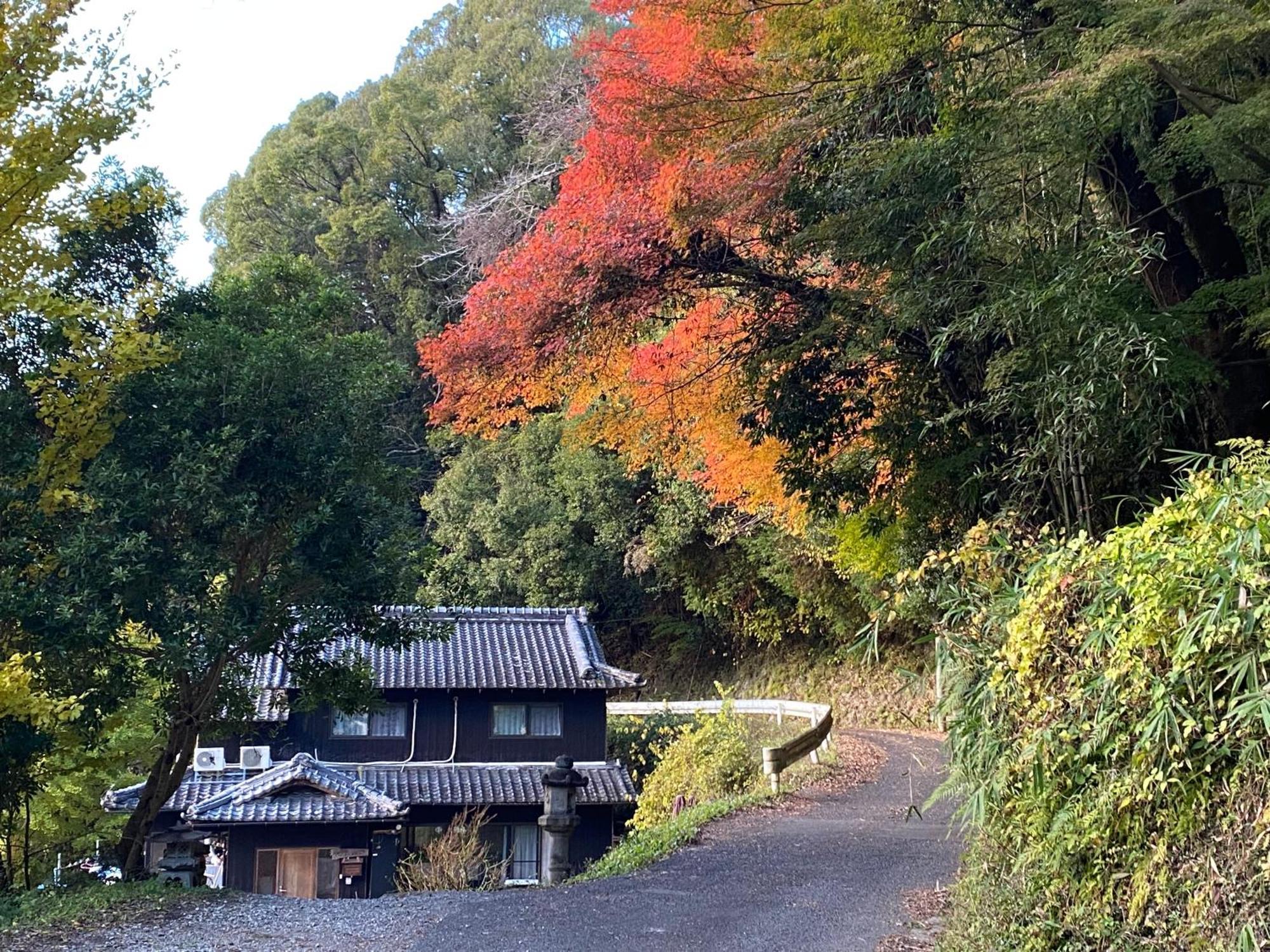 Kizuna Guesthouse Kizugawa Екстериор снимка